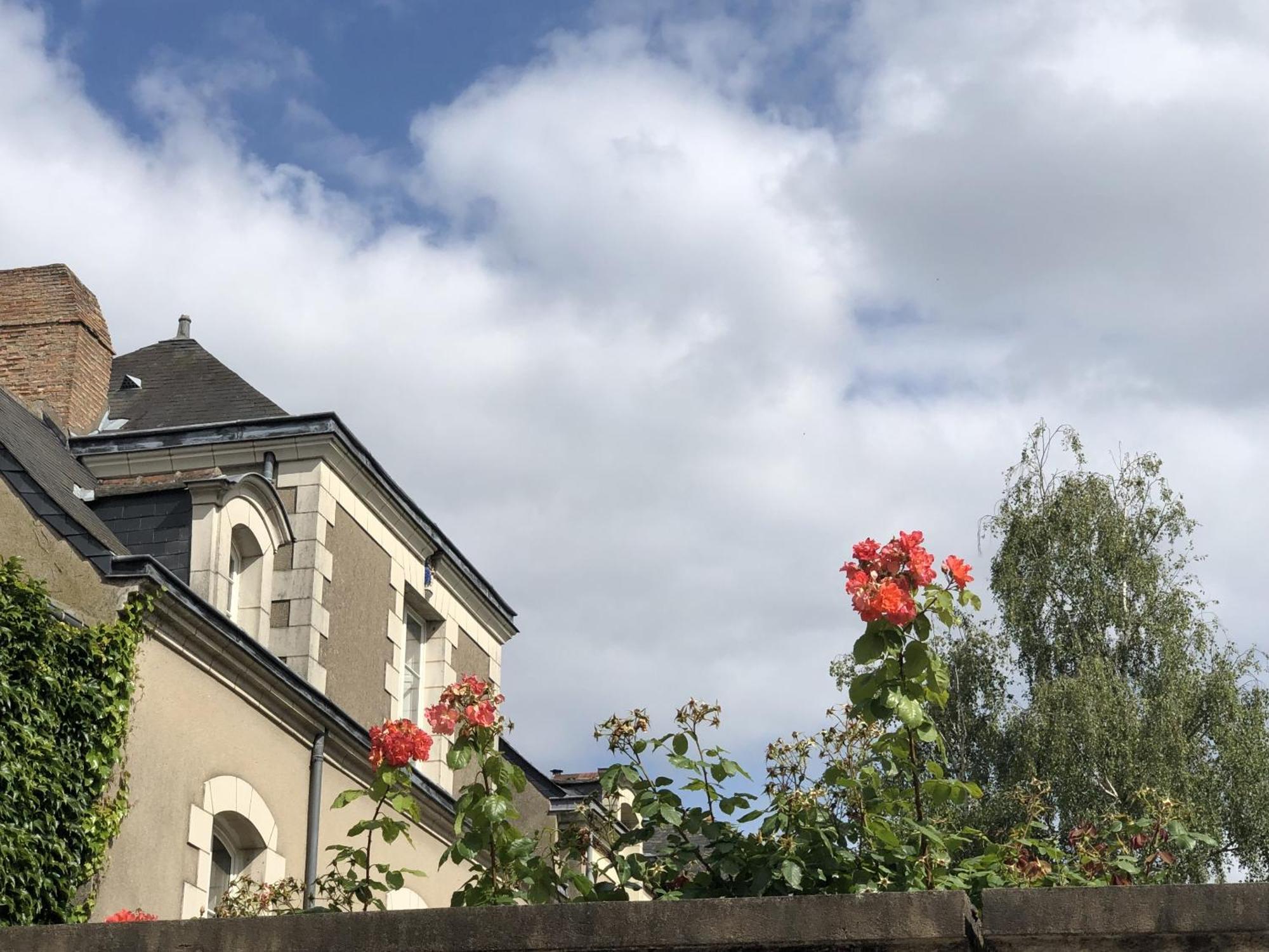 Maison Bout Du Monde Angers Hyper Centre Zewnętrze zdjęcie